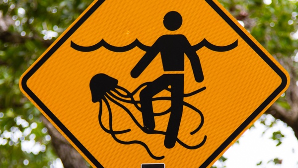 Australian Jellyfish beach sign - first aid irukandji