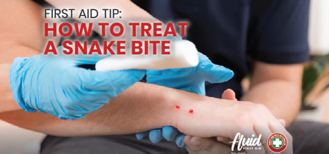 First Aid Tip: How to treat a snake bite?